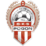 Pogoń GM