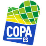 Copa Espírito Santo - Semi-finals